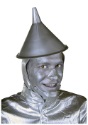 Tin Man Nose Accessory